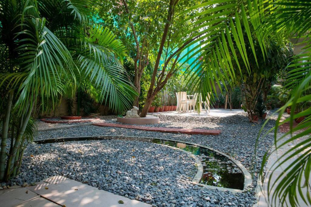 Hibiscus - Nature & Lush - A Luxury Varanasi